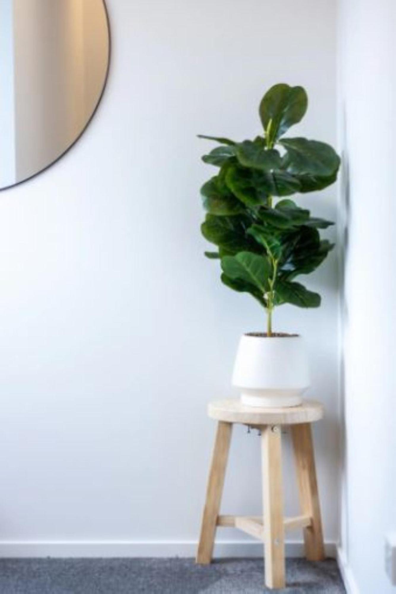 Entertainment Hub 2 Bed 2 Bath W Carpark Apartamento Christchurch